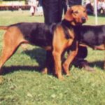 Balkanstøver