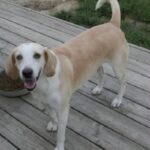 Billy