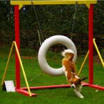 Kooikerhund
